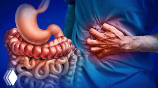 Медицинская иллюстрация внутренних органов: подчёркнутый кишечник рядом с человеком, сжимающимся от боли в животе; изображение передаёт спазмы, дискомфорт и влияние стресса на ЖКТ.