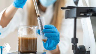 Лабораторный кадр: специалист в перчатках держит пробирку с темно-коричневым биологическим образцом на фоне лабораторного оборудования и стола.