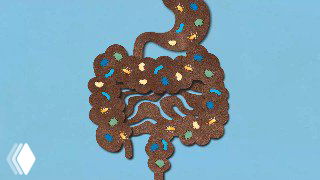 Стилизованная иллюстрация кишечника и кала: коричневый графический рисунок кишечника на голубом фоне, символ пищеварения.