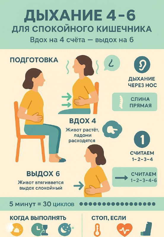 Инфографика техники дыхания «4‑6»: человек в позах сидя и лёжа, показан вдох на 4 счёта и выдох на 6, указано положение рук и ритм для расслабления кишечника.