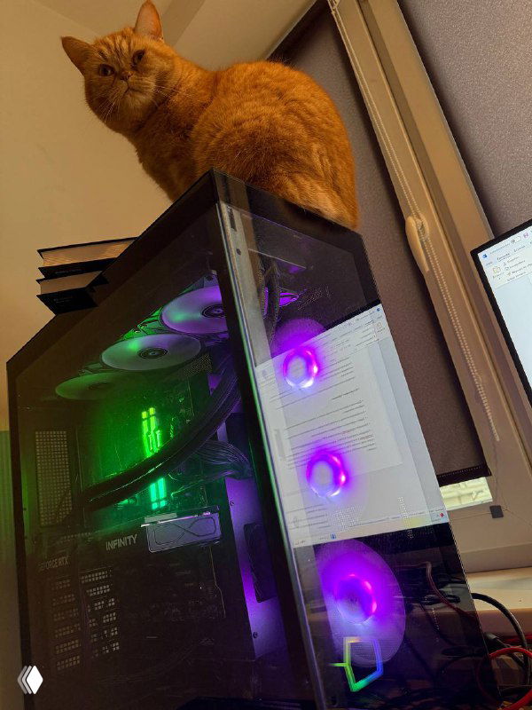 Рыжая кошка Роузи устроилась лежать на верхней крышке системного блока рядом с монитором; видна стеклянная панель и фиолетово‑зелёная подсветка вентиляторов.
