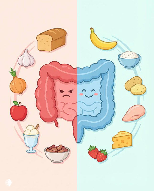 Иллюстрация кишечника: слева раздражённый кишечник с продуктами‑триггерами FODMAP, справа спокойный кишечник и разрешённые продукты для диеты.