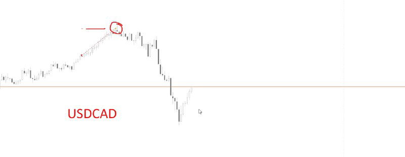 Фрагмент графика USDCAD с пометкой на локальном максимуме и последующим резким снижением цены; пример ложного срабатывания стоп‑лосса.