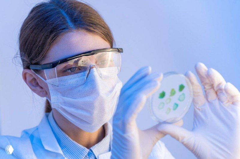 Исследователь в маске и защитных очках держит чашку Петри с культурами — символ лабораторной работы над пробиотиками.