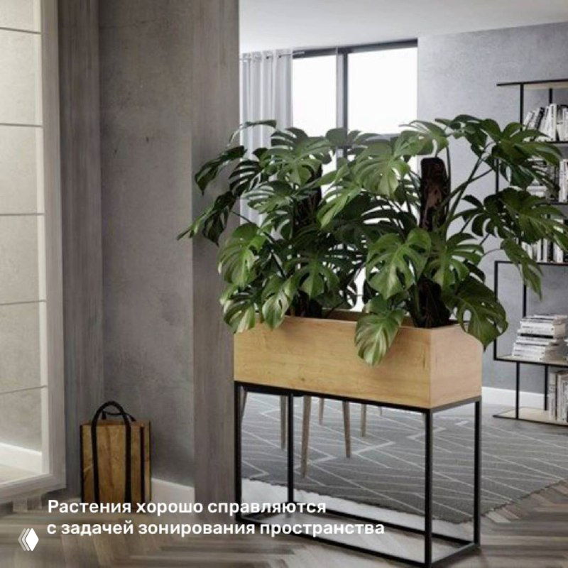 Напольные растения в высоком деревянном кашпо-подставке в современном интерьере; пример зонирования пространства зеленью
