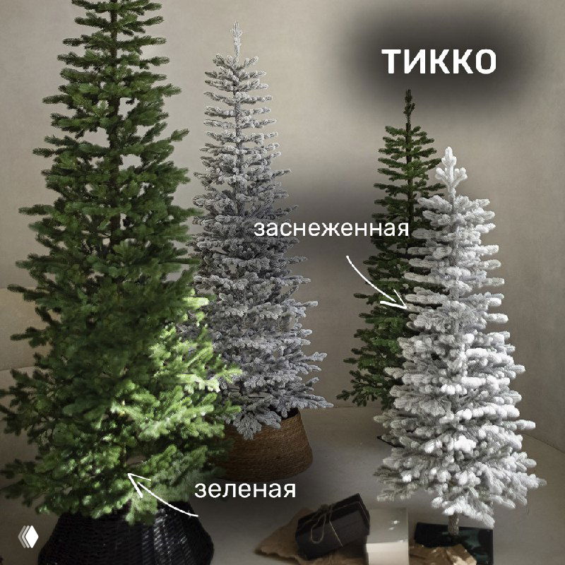 Несколько высоких тонких ёлочек разного оформления: зелёная и заснеженная модели Тикко на нейтральном фоне, демонстрация вариаций для маленьких помещений.