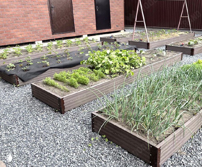 Несколько невысоких грядок из ДПК с рассадой и укрывным материалом, щебень между грядками и молодые посевы на фоне хозяйственной постройки.