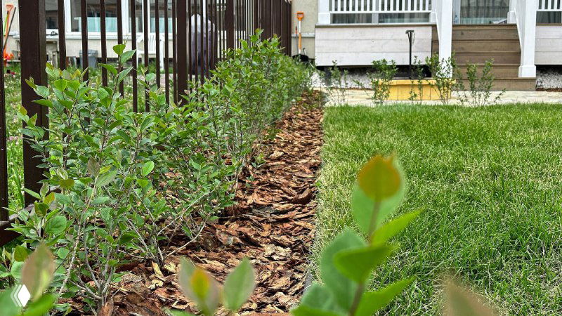 Край газона со взращёнными бордюрами и молодыми растениями, аккуратная кромка между травой и грядкой — деталь ухода за газоном