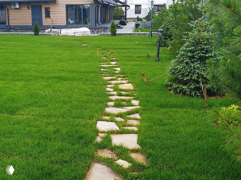 Неровные каменные ступени, ведущие по зелёному рулонному газону вдоль кустов и молодых деревьев возле участка.