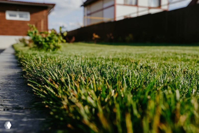 Крупный план зелёного рулонного газона на участке у дома, влажная трава на переднем плане и забор на заднем фоне.