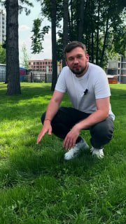 Мужчина присел на зелёную траву в городском парке рядом с деревьями и многоэтажками — иллюстрация состояния газона и выбора способа укладки.