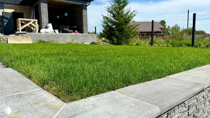 Участок с свежим рулонным газоном, вид со стороны дома: плотная трава, аккуратная кромка и садовая территория вокруг.
