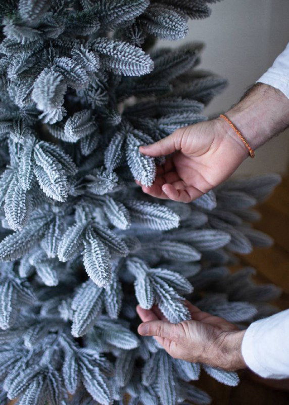 Крупный план рук, ощупывающих заснеженные ветви искусственной ели «Донская Заснеженная», хорошо видна имитация снега и плотность хвои.