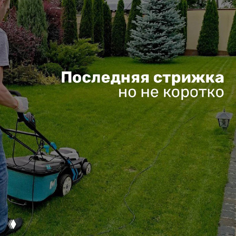 Газонокосилка на зелёной лужайке во время покоса — совет про последнюю стрижку газона перед зимой, не укорачивать слишком сильно.