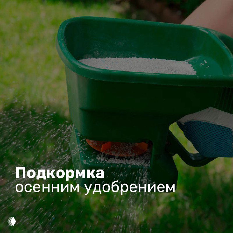 Рассеиватель удобрений в руках человека над травой — демонстрация подкормки осенним удобрением с содержанием калия.