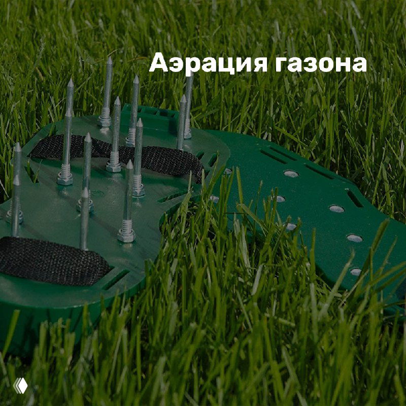 Аэратор с металлическими шипами на фоне зелёной травы — пример инструментов для аэрации газона перед зимовкой.