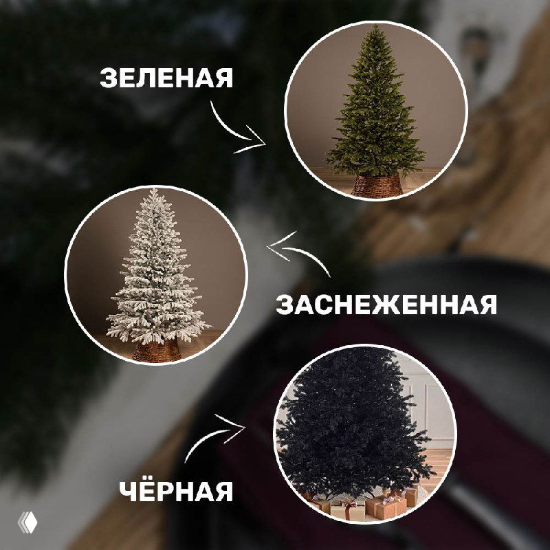 Иллюстрация цветовых вариантов ёлок: зелёная, заснеженная и чёрная модели в небольших круговых вставках на фоне уютного интерьера.