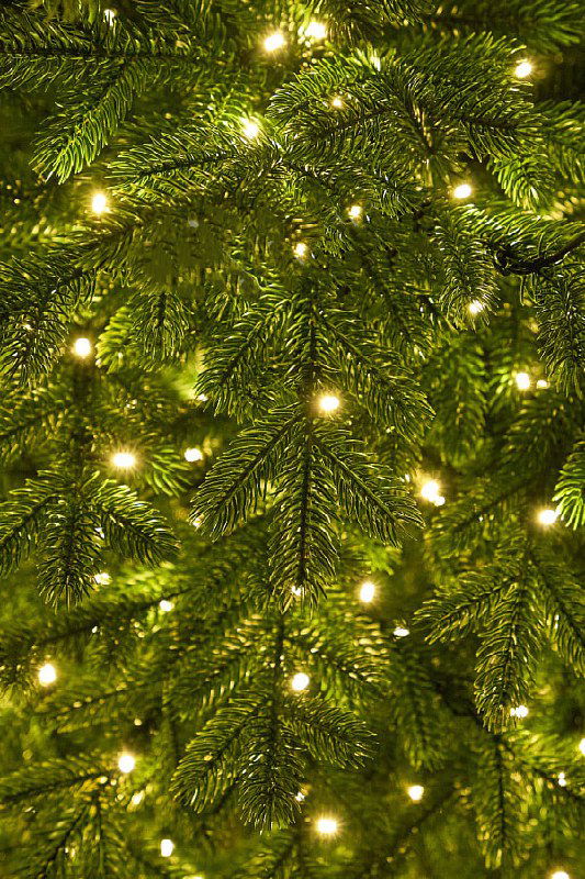 Макро-фото хвои и огоньков гирлянды на ёлке, детальная текстура иголок и тёплое свечение лампочек в праздничном интерьере