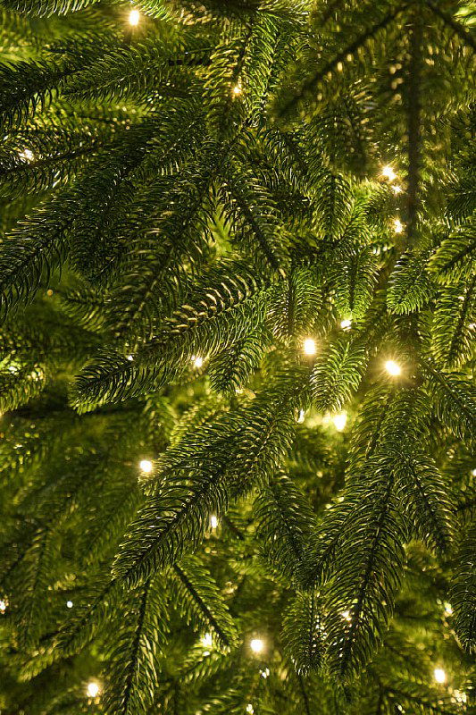 Очень крупный план искусственной хвои Самарской ели с мелкими тёплыми лампочками, текстура ветвей и натуральный вид иголок.