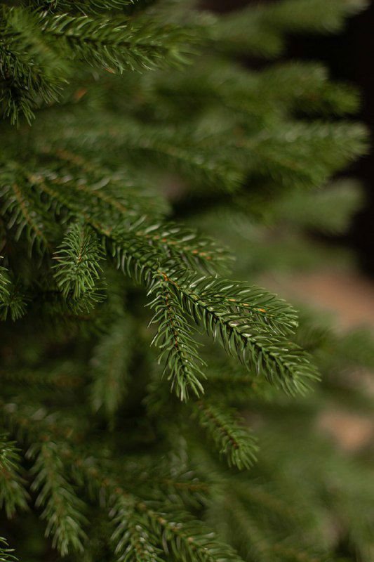 Макро-съёмка ветки искусственной ёлки с акцентом на иголки и структуру лапки, демонстрирующая глубокий зелёный оттенок и реалистичный вид.