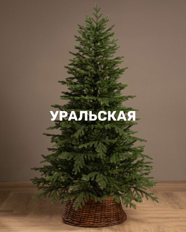 Искусственная ёлка модели «Уральская» на нейтральном фоне; пышные ветви и натуральный силуэт, демонстрационное товарное фото.