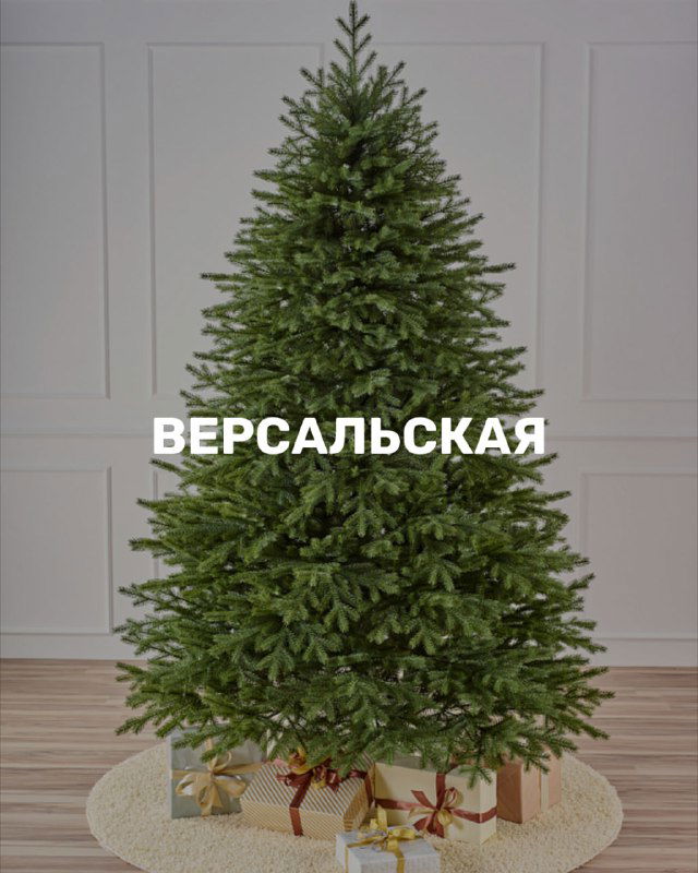 Искусственная ёлка «Версальская» в интерьере с подарками у основания; густые ветви и классический конусный силуэт, студийная съёмка.