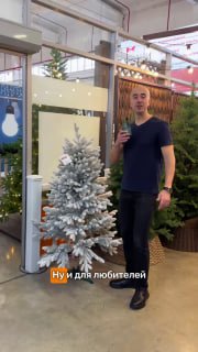 Цветной вертикальный кадр: продавец рядом со снежной флокированной ёлкой и другими моделями, демонстрация варианта «для любителей» с эффектом снега.