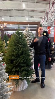 Фотография в торговом зале: мужчина показывает пушистую искусственную ёлку на фоне витрины и других праздничных вариантов ассортимента.