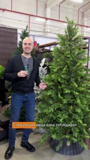 Мужчина рядом с высокой искусственной ёлкой в лавке: детальный вид формы и густоты ветвей, видны складские элементы интерьера магазина.