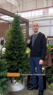 Мужчина возле стройной модели ёлки: иллюстрация высоты и пропорций модели «Тверская», торговый зал и декор на заднем плане.