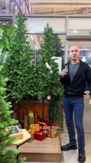 Фото нескольких высоких узких ёлок в магазине: выставочные образцы премиум-каталога LetoMarket, рядом упаковки и декоративные элементы витрины.