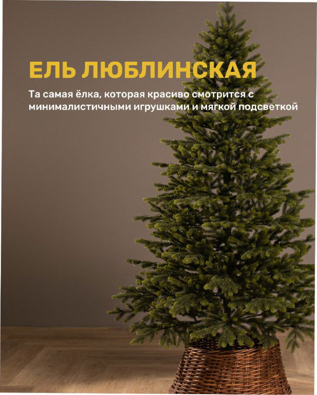 Модель «Люблинская» на фоне студии: аккуратная форма дерева с минималистичными ветвями, выглядит эффектно в фотографиях с мягкой подсветкой.