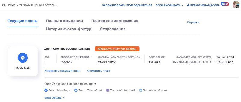 Скриншот интерфейса Zoom: окно аккаунта и настройки подписки, видны кнопки и текст, подтверждающие покупку годовой платной подписки.