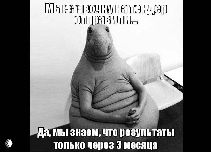 Чёрно-белый мем: странное существо в кресле и текст про отправку заявки на тендер и ожидание результатов три месяца