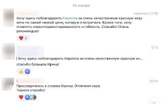 Скриншот переписки в деловом чате с комментариями и благодарностями участникам; показан пример представления и реальные отзывы о работе.