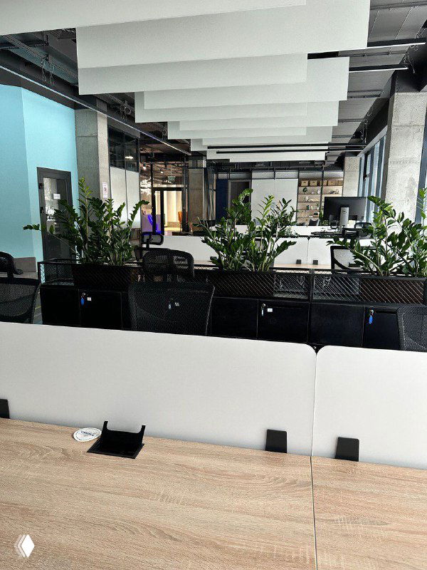 Пустой коворкинг/офис с рабочими столами, перегородками и зелёными растениями на фоне — спокойная рабочая зона без людей и отвлекающих факторов.