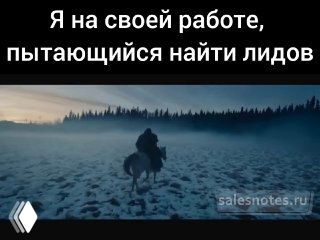 Кадр-мем: всадник в зимнем тумане на лошади с подписью «Я на своей работе, пытающийся найти лидов», водяной знак salesnotes.ru