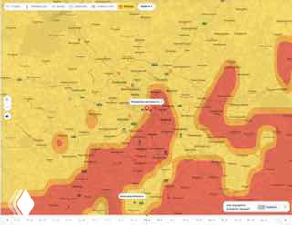 Карта активности пыльцы и распространения аллергенов по регионам в интерфейсе Яндекс.Погоды с цветовой шкалой и зонами риска.