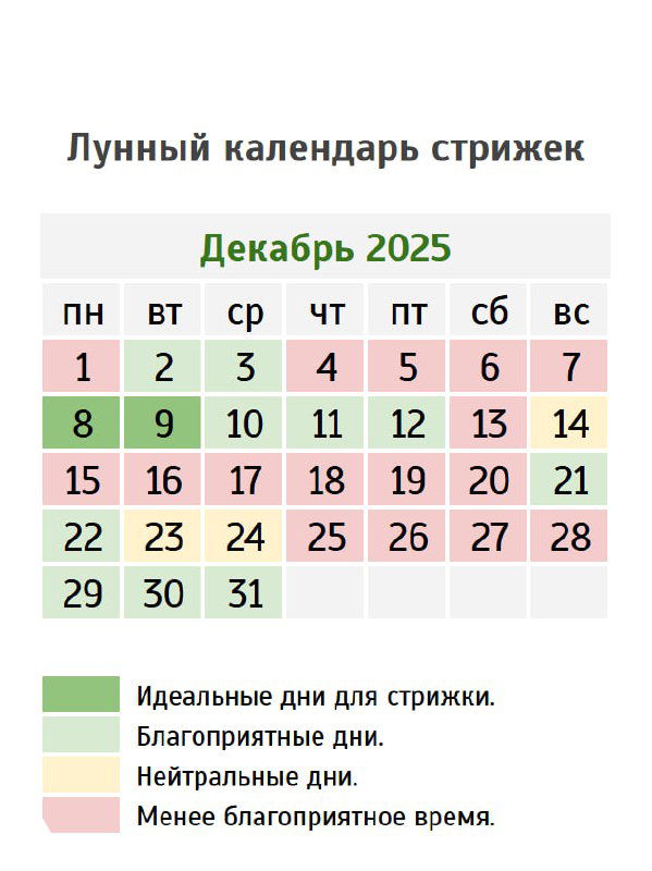 Стрижки на Декабрь 2025 г.