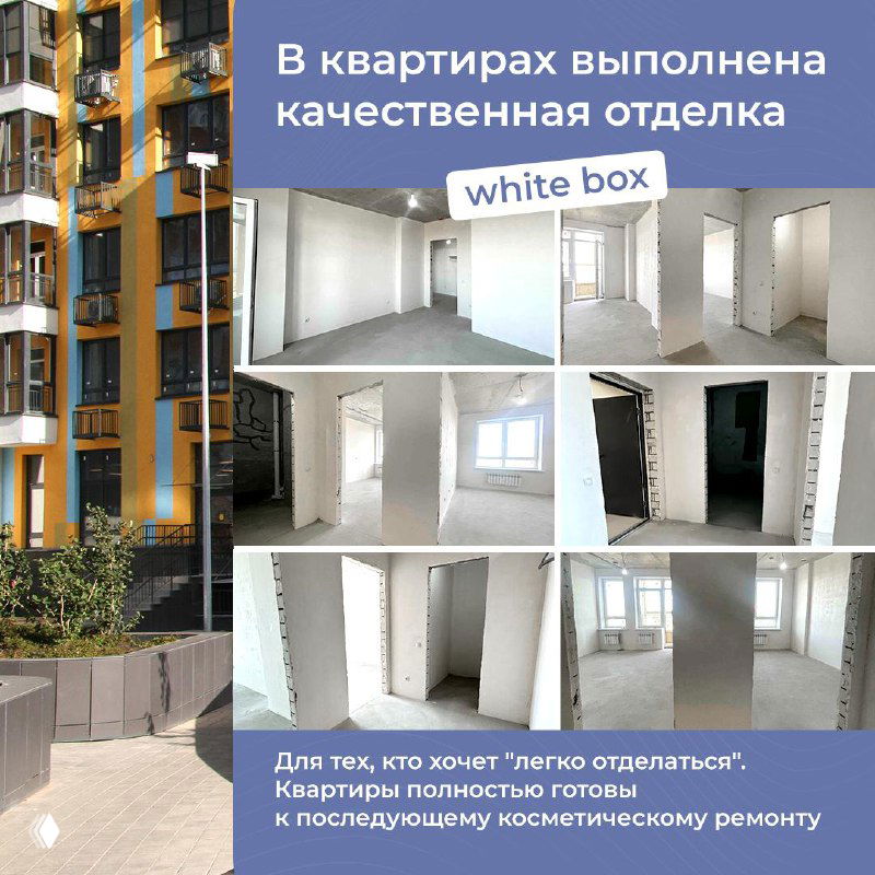 Фотоколлаж внутренних помещений квартир с отделкой white box: пустые светлые комнаты, окна и входы, готовые к косметическому ремонту.