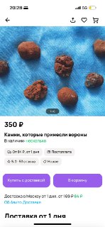 Крупный план нескольких мелких тёмно-коричневых камней, разложенных на синей ткани; хорошо видны текстуры, формы и неровности поверхности каждого камушка.