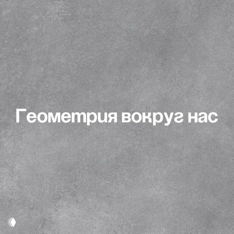 Серая обложка с надписью «Геометрия вокруг нас»: минималистичный фон и крупный белый шрифт, символизирующие связь геометрических форм и архитектуры в городе.