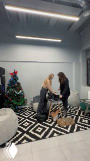 Две женщины в офисе собирают новогодние подарки у ёлки: крафтовый джин, шоколад ручной работы и рецепты коктейлей.