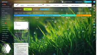 Скриншот интерфейса Битрикс24: персонализованное меню, боковая панель с пунктами проектов и воронок на фоне зелёной травы.