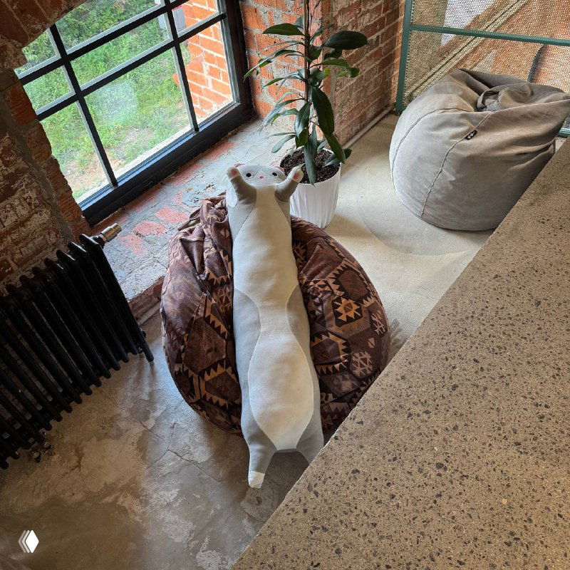 Белая вытянутая кошка лежит на круглом подушечном кресле в светлом индустриальном интерьере с кирпичными стенами и большим окном рядом.