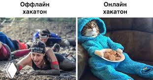 Коллаж: слева участники офлайн-хакафона в активности и грязи, справа кот в тёплой пижаме с печеньем — юмористический контраст офлайн и онлайн.