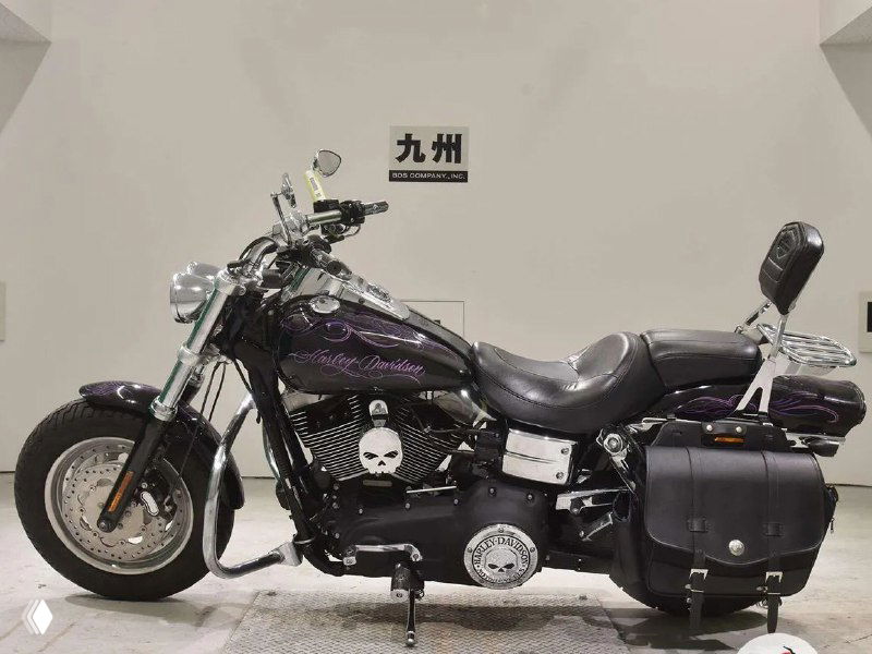 Чёрный Harley-Davidson в боковом ракурсе: багажные сумки, пассажирская спинка и декор с черепами, мотоцикл на светлом фоне студии.