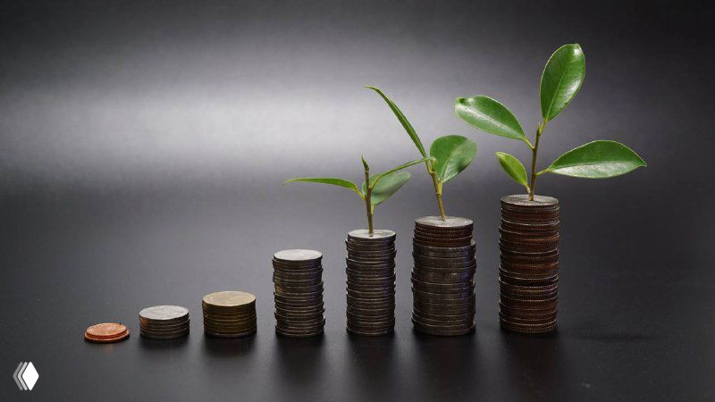Ряды монет, сложенных в столбики разной высоты с растущими побегами — метафора роста вложений и долгосрочных инвестиций.