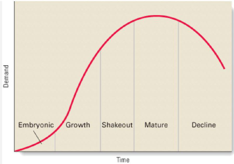 График жизненного цикла отрасли: кривая спроса во времени с этапами Embryonic, Growth, Shakeout, Mature и Decline, контекст для обсуждения роста отраслей.