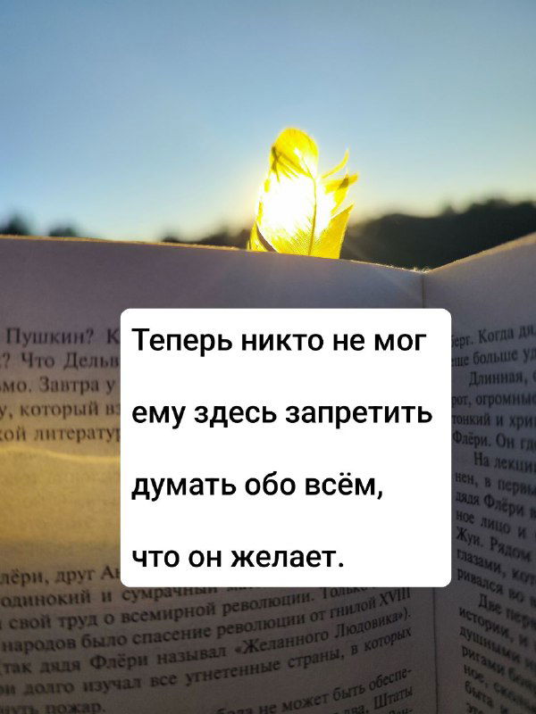 Открытая книга и сияющий лист вечером, поверх страницы наклеена карточка с мыслью о свободе мысли и воображении; кадр создает тихую атмосферу.